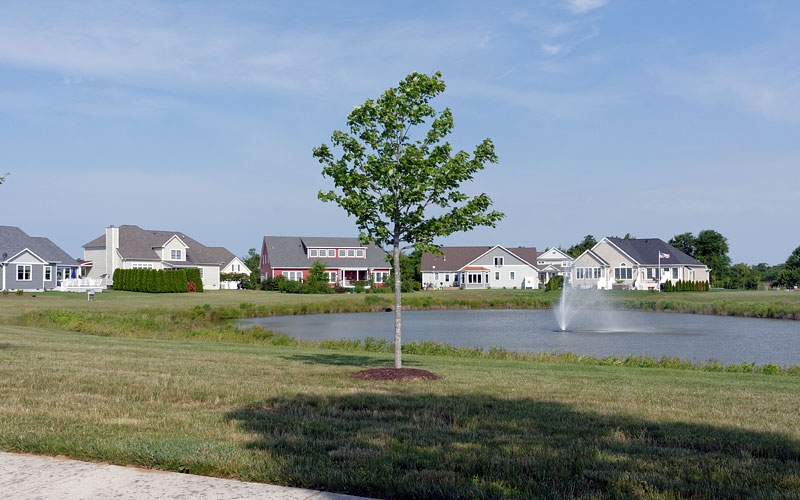 The Villages of Five Points scenery