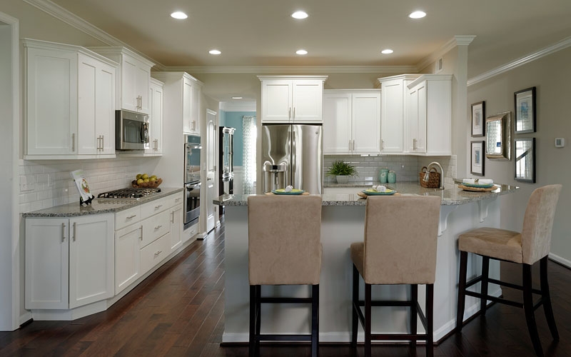 Dalton model kitchen